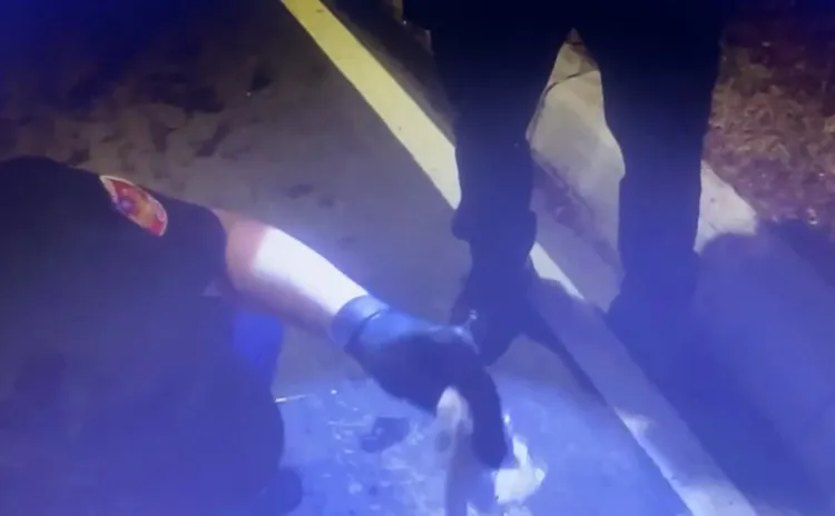 警方打開牛皮紙袋一看竟是衛生紙。翻攝畫面