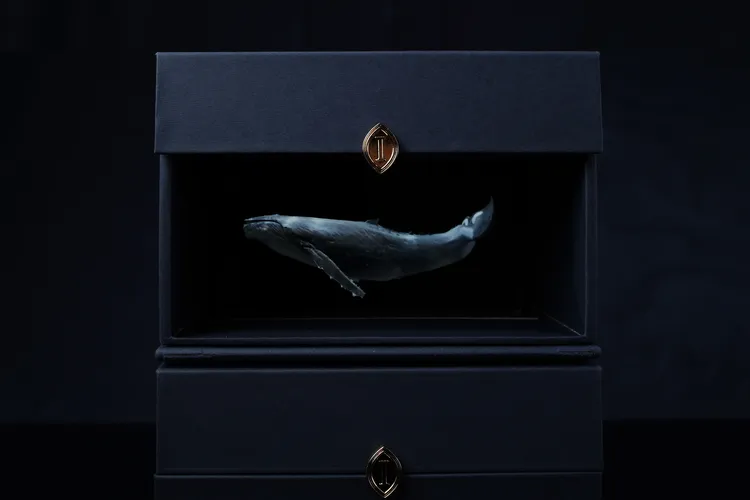 奢華版禮盒「豐海映月．藏寶盒」設計亮點：手機掃描QR Code後，置入盒中即可欣賞隱藏版浮空投影動畫，以創意概念為中秋送禮點亮新靈感。業者提供