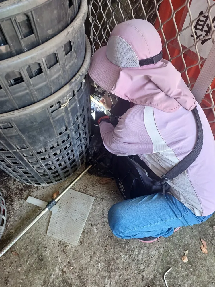 市府全力動員孳清。衛生局提供