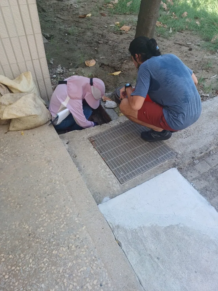 市府派員加強孳清。市府提供