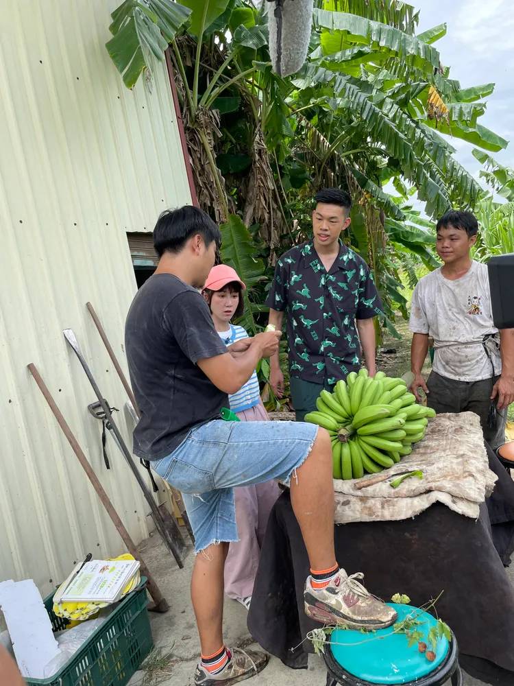 陳大天（右二起）、瑪麗體驗旗山一日蕉農生活。三立提供
