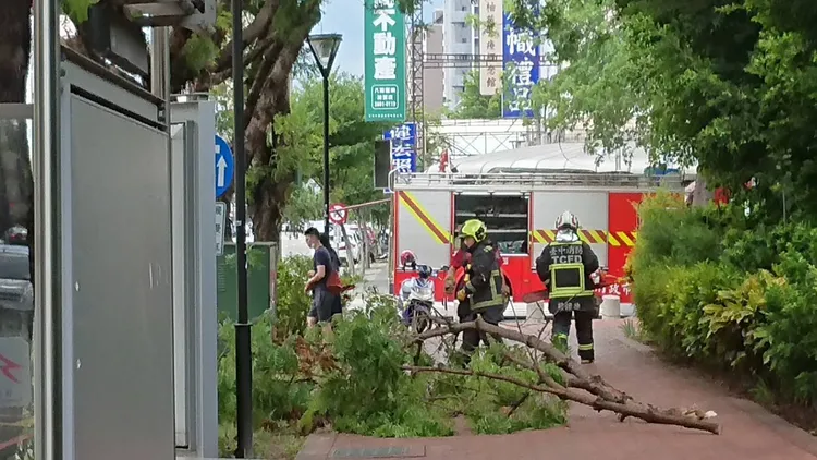 消防人員先將樹枝移到人行道。民眾提供