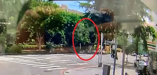 台中行道樹枝幹突斷裂　砸中機車害姑侄慘摔釀2傷