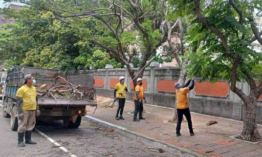 全力防颱守護城市安全 竹市府加強梳理路樹枯木