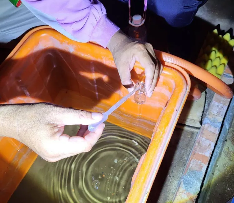 市府監測孳生源密度調查。市府提供