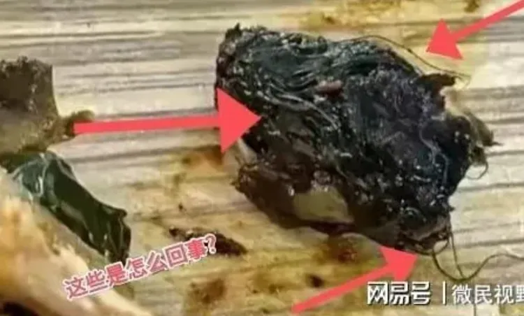 江西學校的學生在餐廳吃到「老鼠頭」。翻攝微博/江西學校網