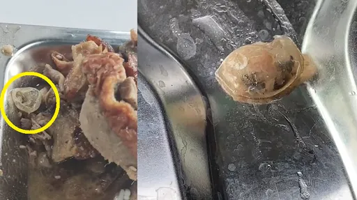 學生比較好騙?學校餐廳吃出疑似「保險套」 校方:那是「鴨子眼球膜」