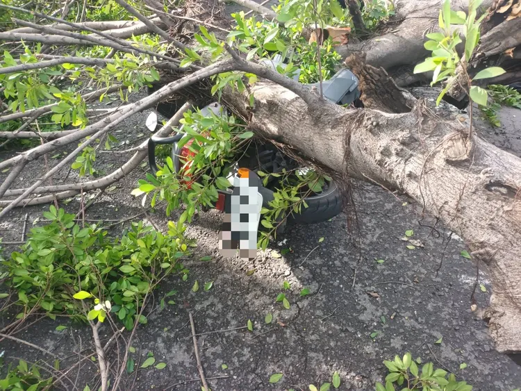 機車閃避不及，當場出車禍。讀者提供