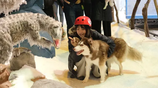 當毛小孩遇見大恐龍　可愛萌樣療癒眾人