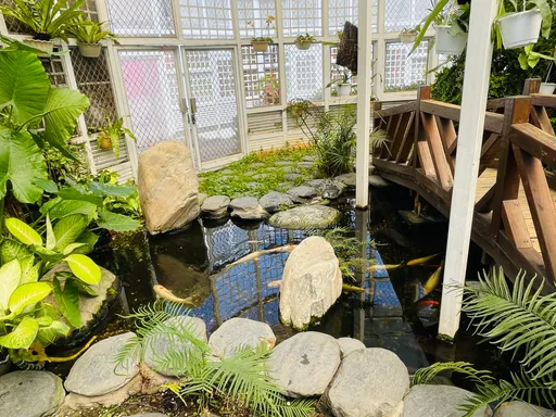 三重玫瑰公園溫室大改造 蓬勃植物生態還有戶外表演台