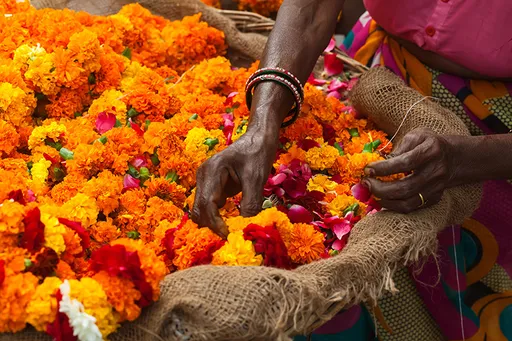 壹蘋派生活美語 花朵皮革成動物救星!
