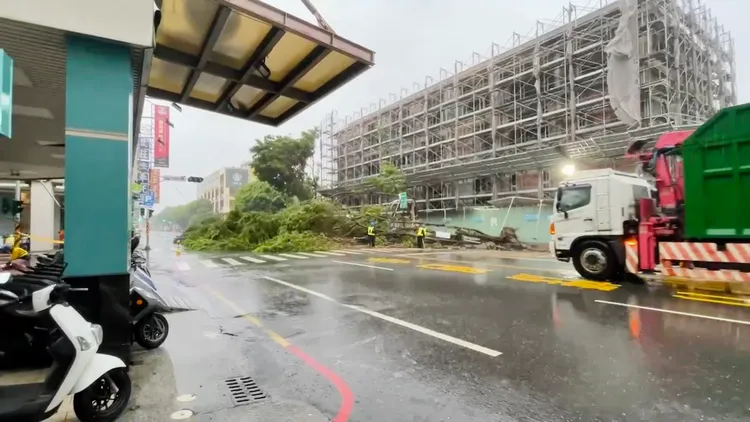 北門路路樹倒塌，封路移除中。讀者提供