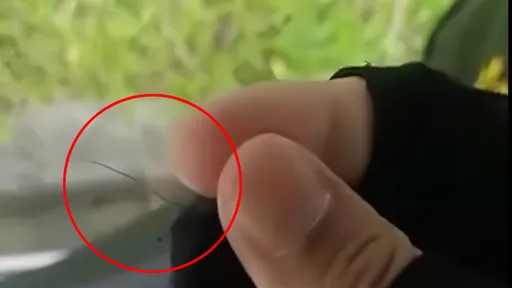 外送員「拔2根陰毛」加料顧客餐點　自拍影片噁爆全網這下GG了