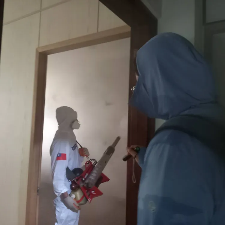 市府全力化學防治。市府提供