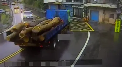 山老鼠集團將鋸下來的台灣櫸木以大貨車運走。民眾提供