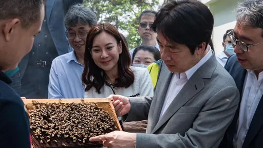 蔣絜安稱被脅迫! 賴清德准她辭官吐3字被酸爆:標準太高才判抄襲?