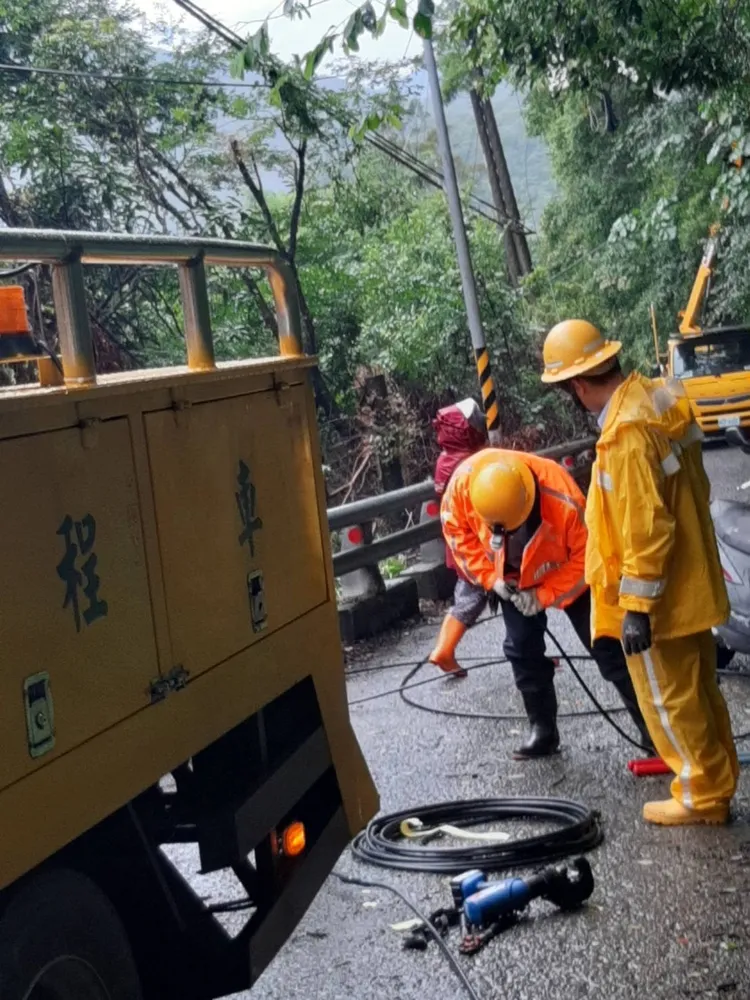 大樹倒塌扯斷電線，台電搶修中。台電提供