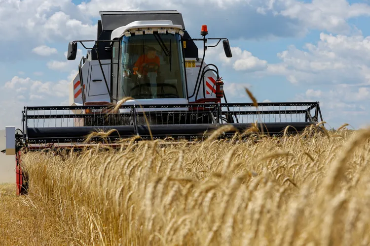 烏克蘭農人正收穫穀物。路透社