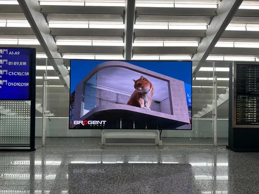 出國旅遊潮正夯！胖橘喵竟「溜進」桃園國際機場？!
