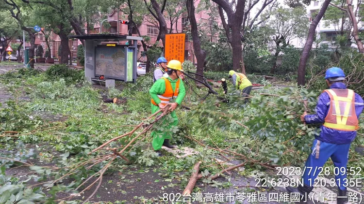 工務局派員移除倒塌路樹。市府提供