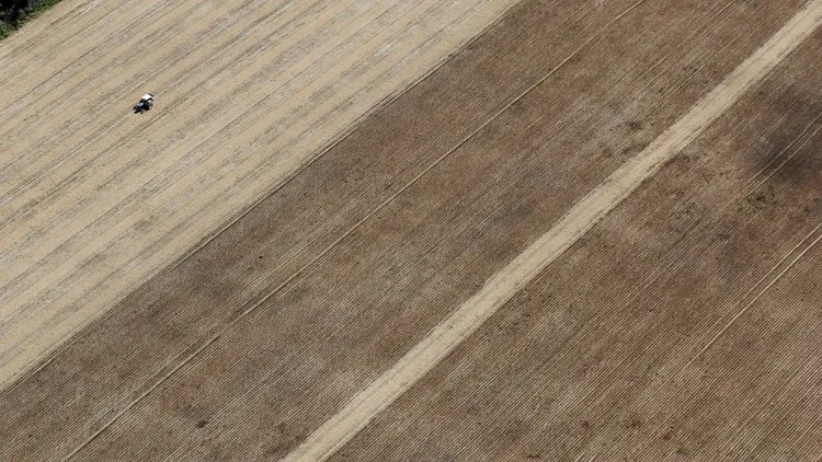 專家指出，巴西的優勢之一是可以將大量牧場改為玉米田。路透社資料照片