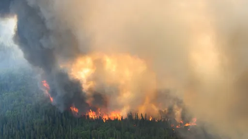 加拿大野火延燒 今年第3名打火英雄喪命