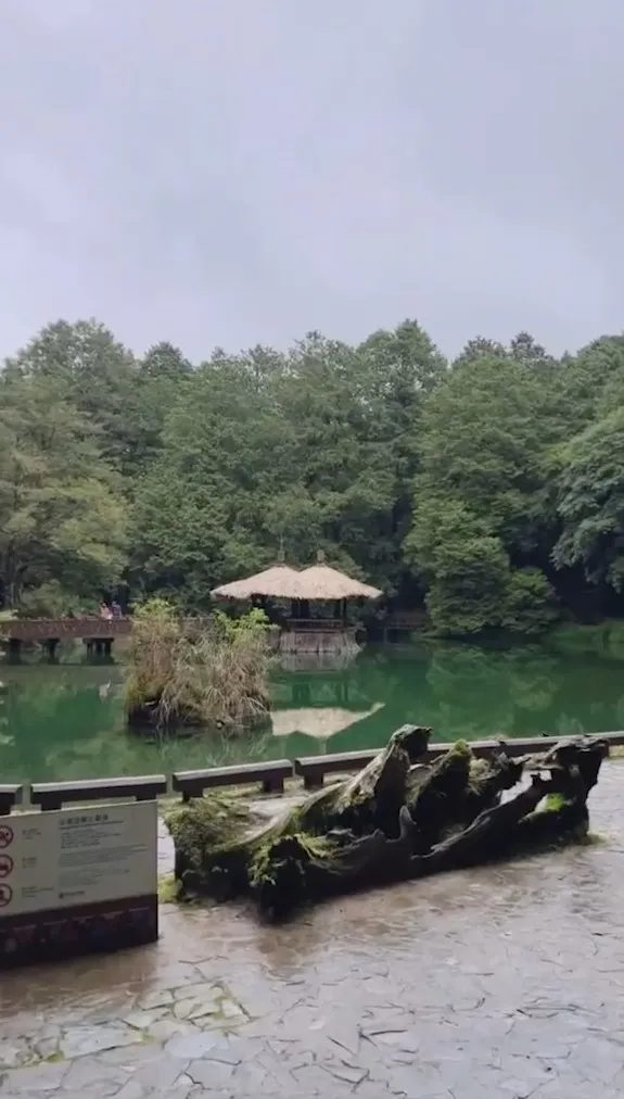 阿里山國家森林遊樂區，位於嘉義縣阿里山鄉。IG@furby_0421 提供