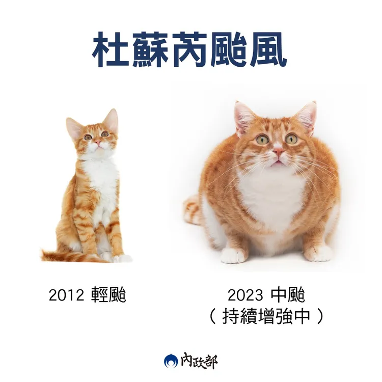 內政部防颱文宣，吸引大批貓迷按讚。翻攝內政部臉書