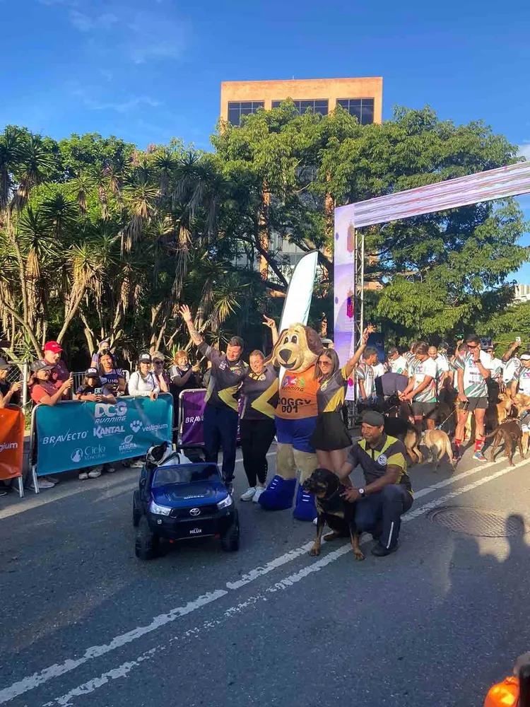 翻攝Excelsior網站