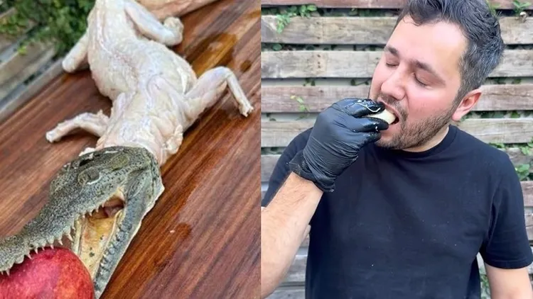 網紅廚師帕利列羅（右圖）在網路BBQ整隻小鱷魚（左圖），並做成墨西哥捲餅食用。翻攝Instagram/ Regio Parrillero