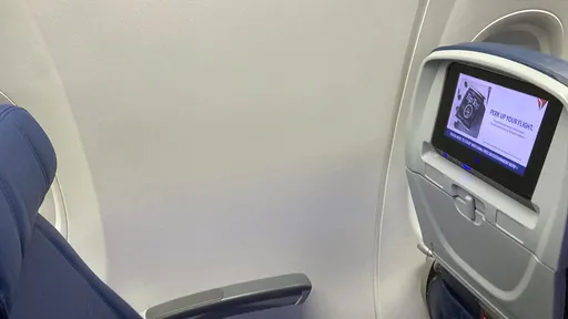 靠窗機位變成「靠！窗呢？」　他想空中俯看大峽谷結果心碎