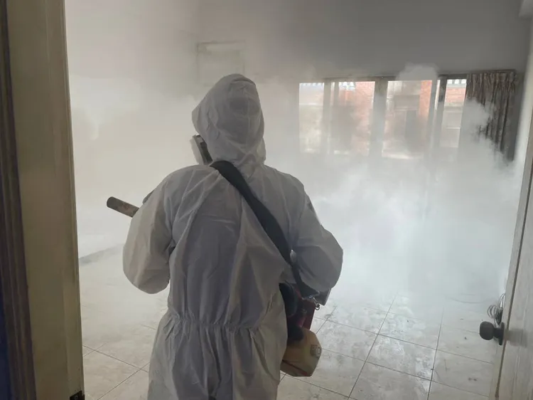 市府擴大化學防治。市府提供