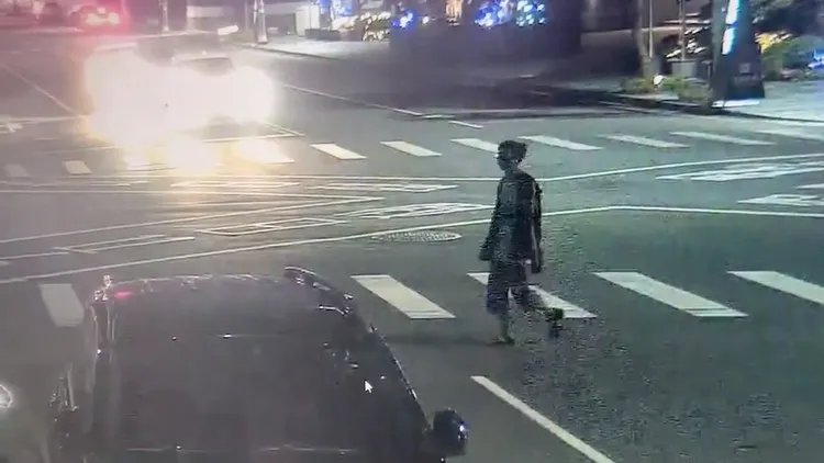 29日晚間男子將鱷魚模型放在高雄凹仔底森林公園的池畔。翻攝畫面