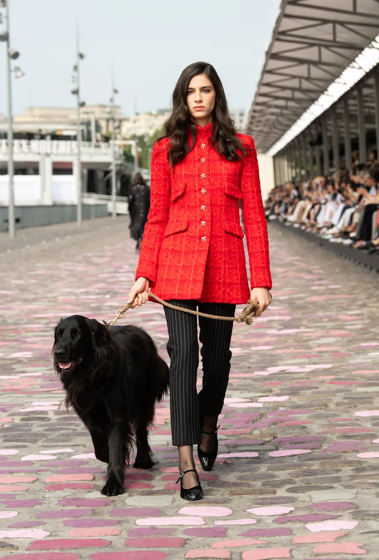 穿上香奈兒百萬訂製服遛狗有何不可？品牌提供