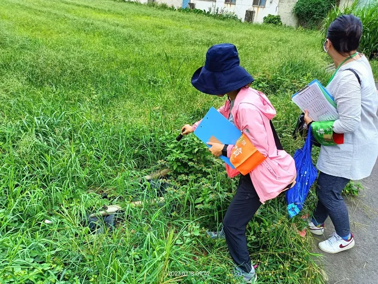 市府動員社區力量強力孳清及巡檢。市府提供