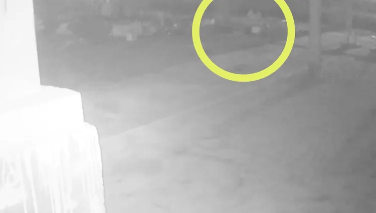 3嫌趁夜開車進校，偷走上千公斤電纜。讀者提供