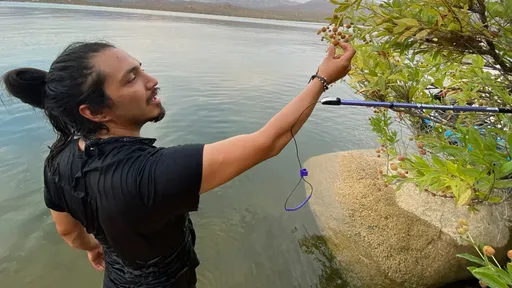 選錯實驗種植地點 植物學家遭墨西哥毒梟擊斃
