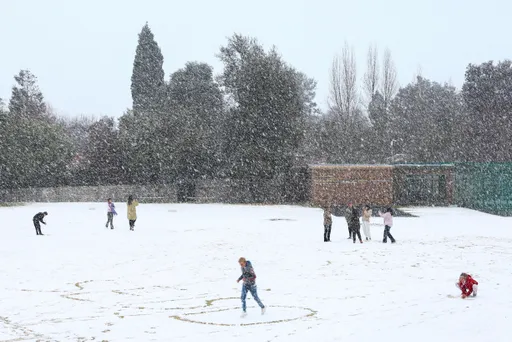 南非約翰尼斯堡罕見降雪　11年來首見