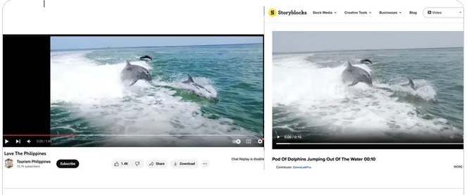 官方宣傳片中的海豚躍出海面為向圖庫購買的資料影片，非攝於菲律賓。翻攝臉書