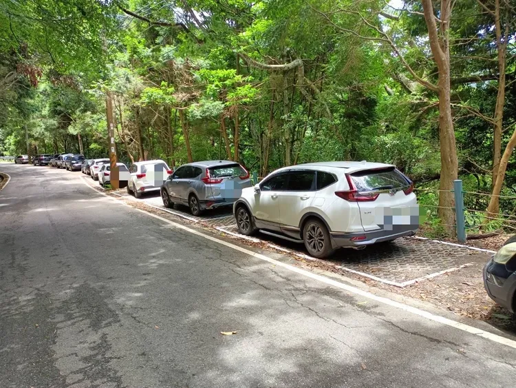 大雪山林道沿線車輛納入收費管理，可望增加停車週轉率。東勢林管處提供