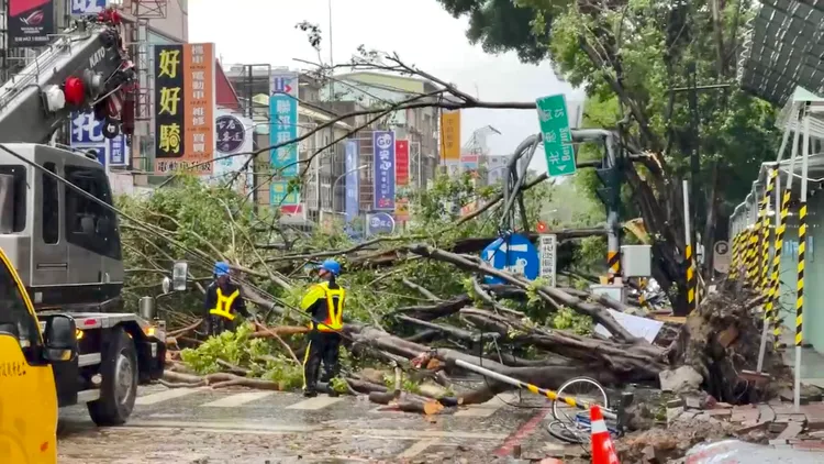 強風豪雨襲台南，造成路樹紛紛傾倒災情。資料畫面