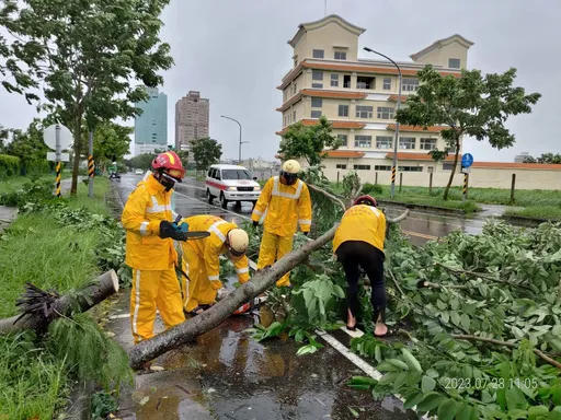 杜蘇芮颱風席捲台南!1300餘件路樹、電桿倒了 市府總動員恢復市容