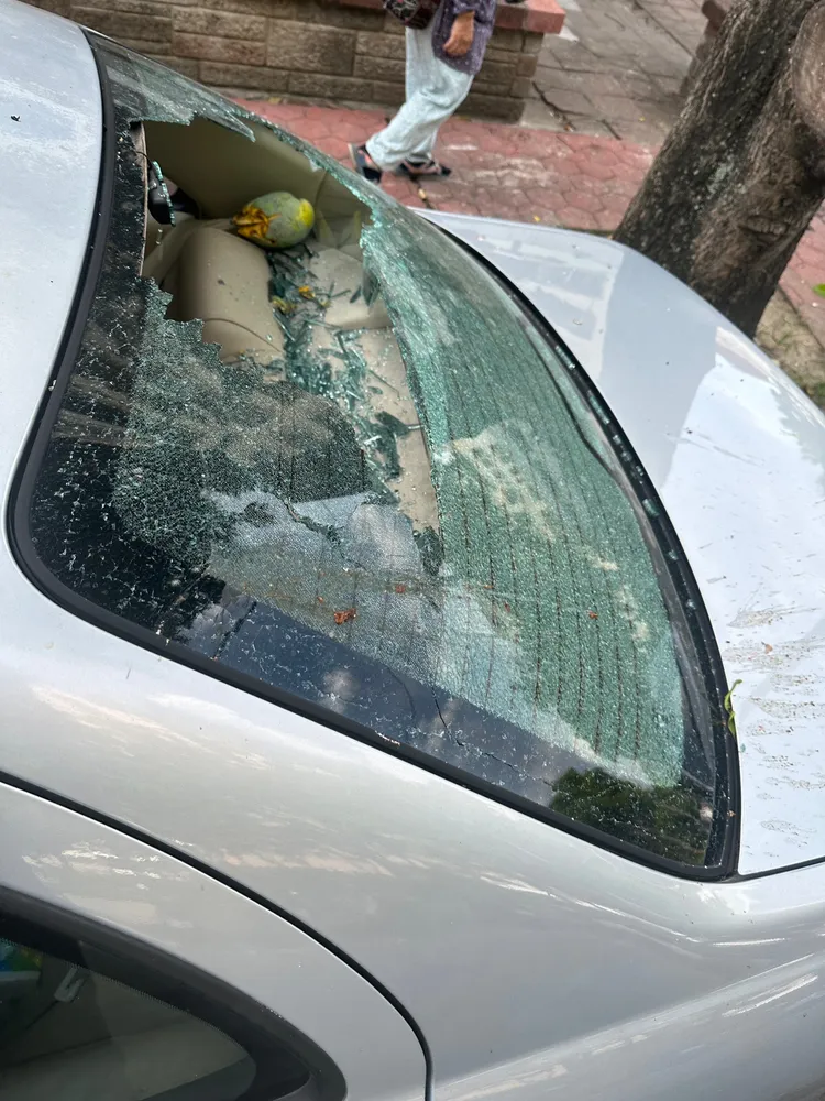 芒果將車輛後擋風玻璃砸出1個大洞。羅廷瑋提供