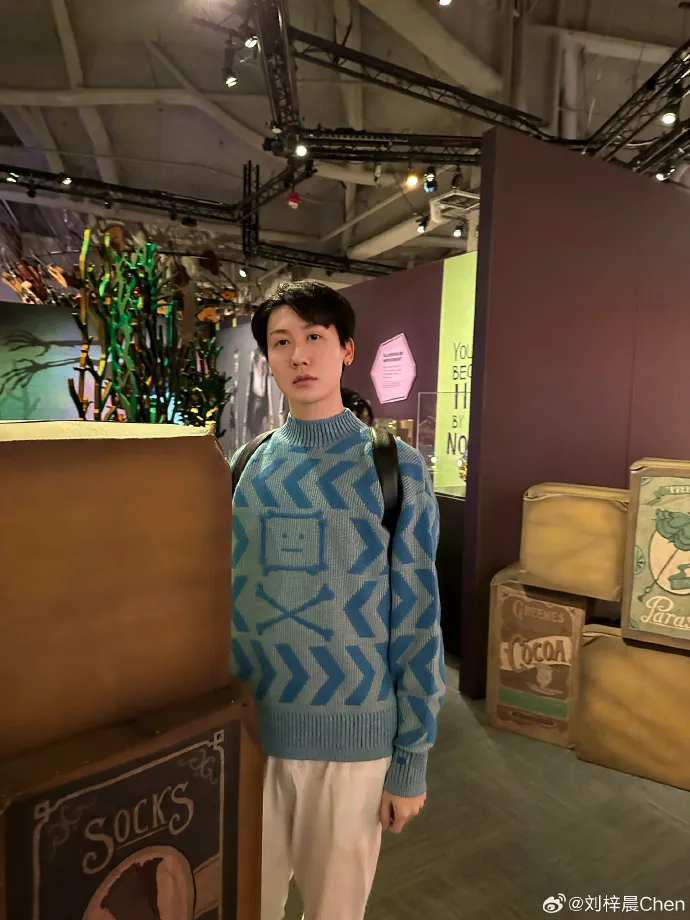 劉梓晨不再像過去用誇張的修圖。翻攝自劉梓晨微博