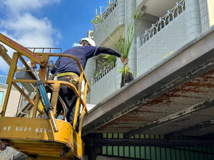 市府出動機具登高巡視天溝。衛生局提供