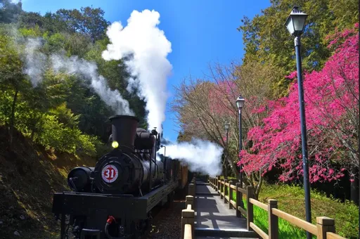 中斷14年阿里山林鐵明年全線通車 招募司機員起薪30K