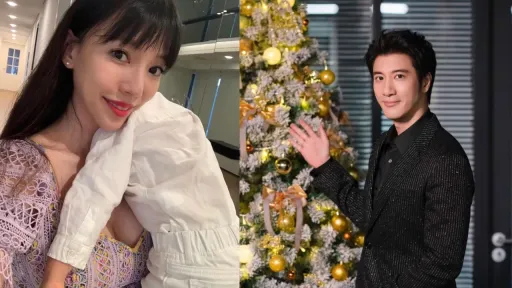 美國判王力宏離婚獲准 美女律師「法普」一件事!3情況例外