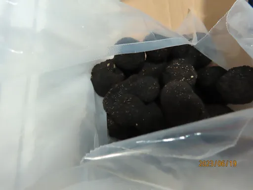 貴婦注意!不只義大利、法國黑松露檢出含鎘超標 食藥署已100%逐批查驗