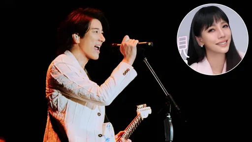 王力宏離婚「感謝美國法院成全」 曝李靚蕾官司攻防細節