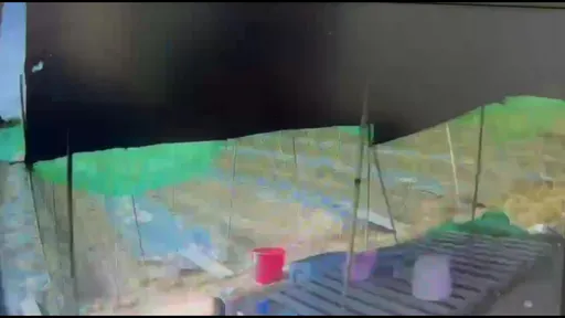 嘉義青農大熱天坐田邊竟猝死 臉發黑鼻滲血!檢警相驗死因出爐